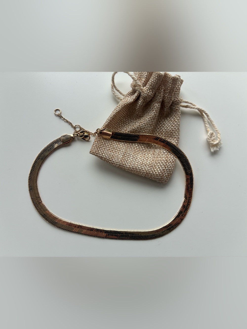 Express Gold Tone Herringbone Necklace